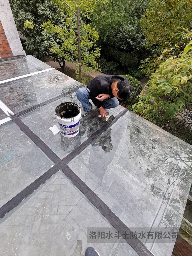 陽(yáng)光房 (15)